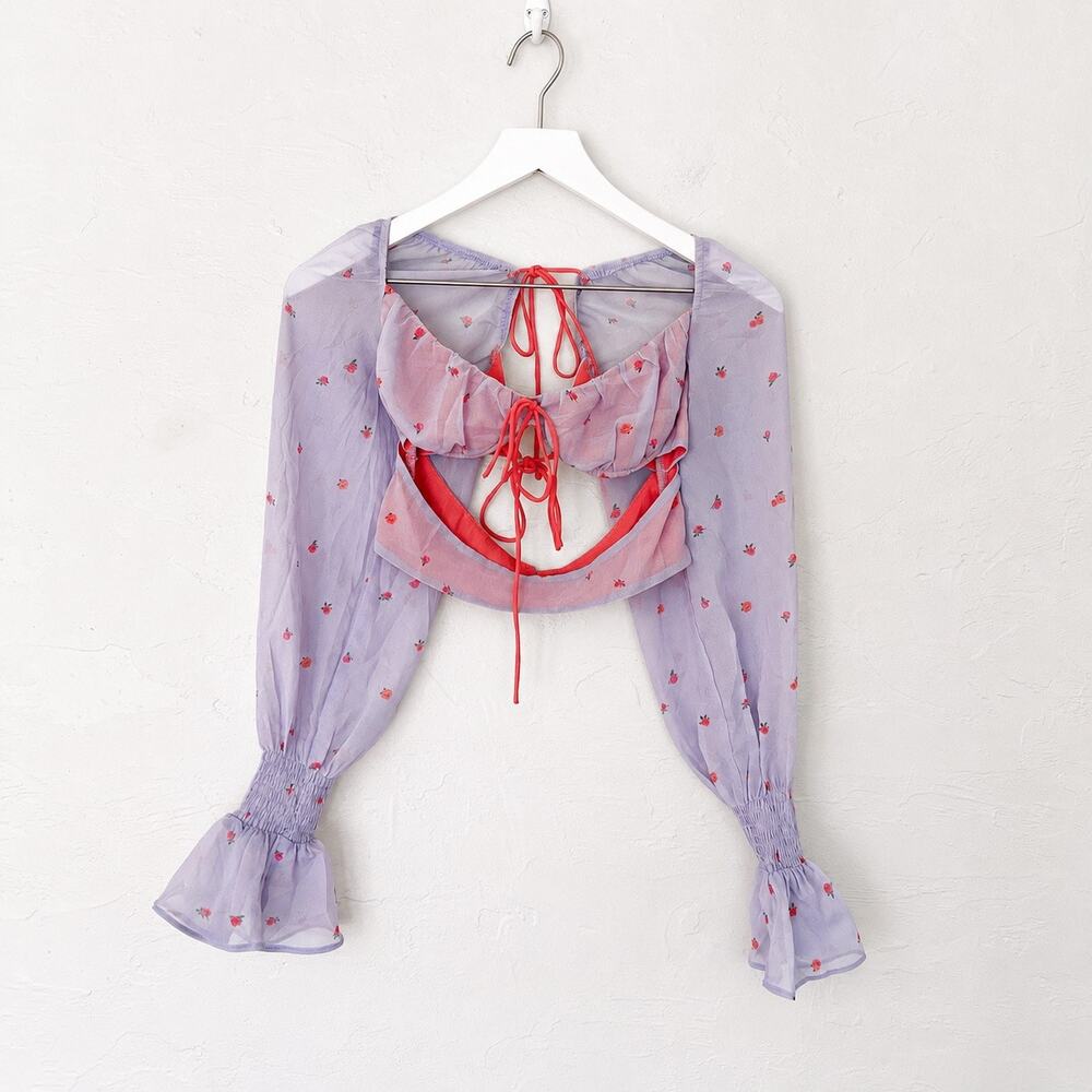 White Fox Lavender Rose Sheer Crop Top S Tie Front Open Back Y2K Coquette Fairy